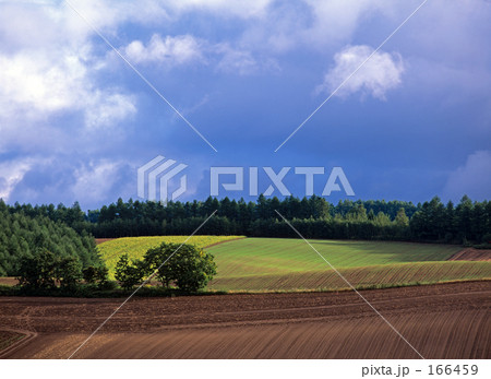 グレーの秋空 166459