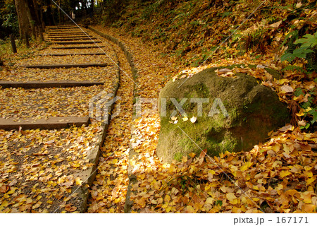 落ち葉（３） 167171