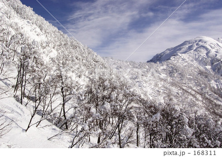 八海山 168311