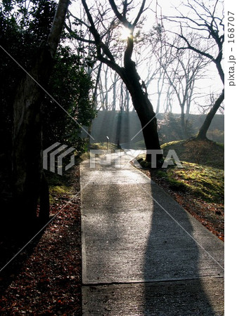 雨上がりの朝 168707