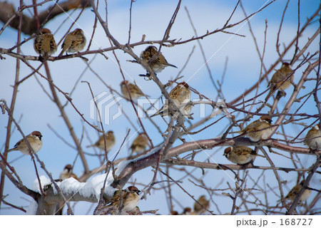 おおぜい おおぜい 168727