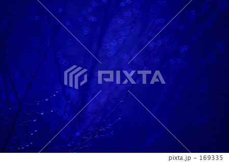 雨音だけが響くセンチメンタルな朝 169335