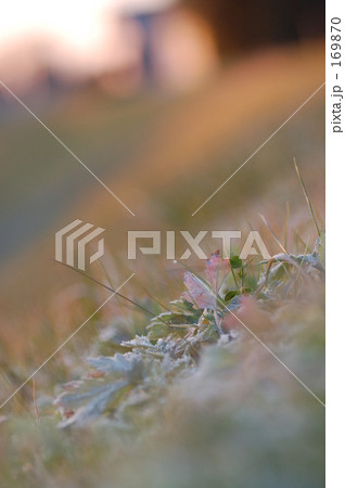 やわらかな日差しに包まれて 169870