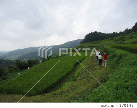 別府市内成の棚田 170145