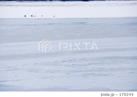 凍った湖に野鳥 凍った湖に野鳥 170243