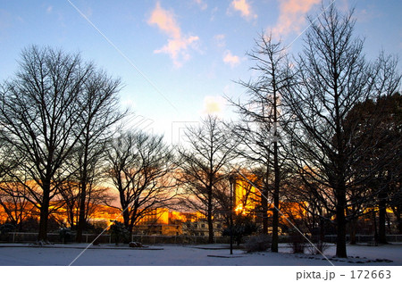 都市公園の朝 都市公園の朝 172663