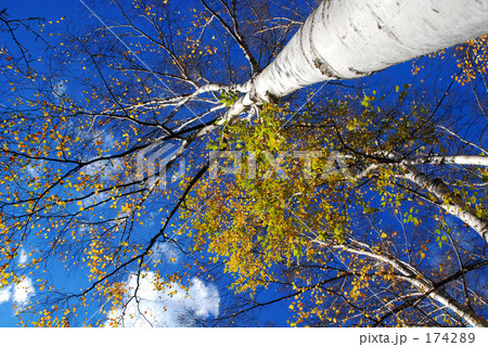 大空へ 2 大空へ 2 174289