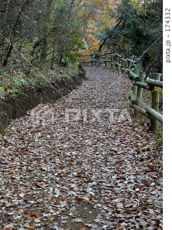 秋の散歩道 秋の散歩道 174332