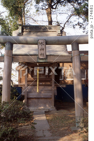 見沼田圃・冬　294 174681