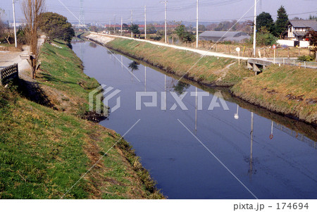見沼田圃・冬　296 174694