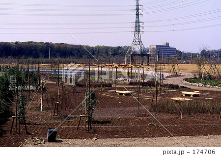 見沼田圃・春 310 見沼田圃・春 310 174706