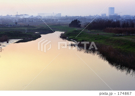 見沼田圃・冬　0320 174867