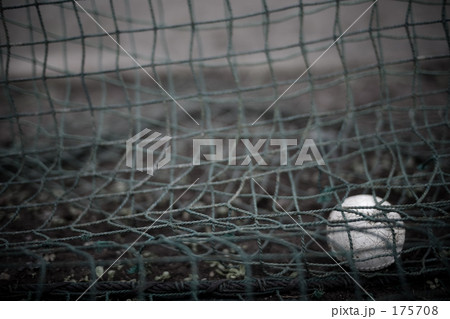 グラウンドの思い出 175708