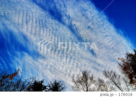 北国の青い空　１１ 176016