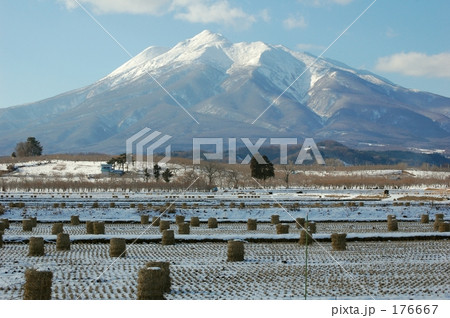 津軽の田園とリンゴ畑と岩木山 津軽の田園とリンゴ畑と岩木山 176667