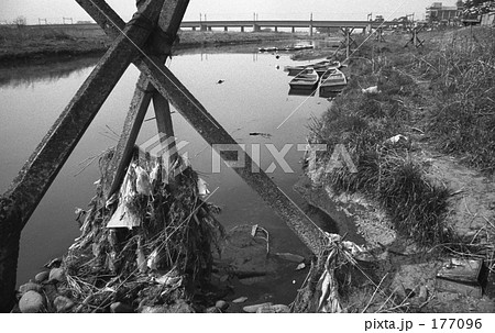 多摩川・ふるさとの川　昭和４６年 177096