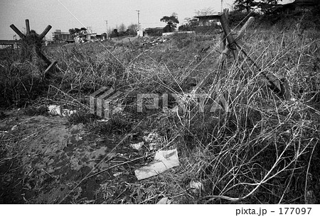 多摩川・ふるさとの川　昭和４６年 177097