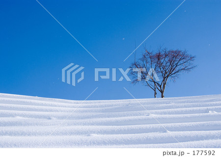 雪 グラデーション 雪 グラデーション 177592