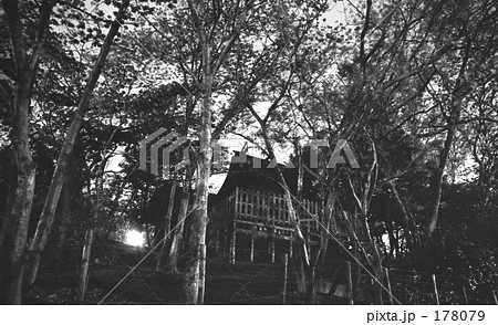 原宿・夜　穏田神社　　昭和46年 178079
