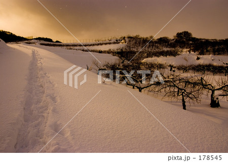 雪に焦がれて 日暮れる 178545