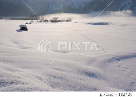 絹雪の田園 182426