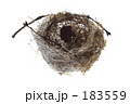 鳥の巣 183559