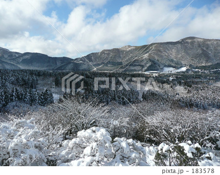 雪の箱根・仙石原 183578