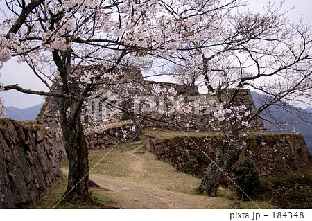 天空の城に咲く桜・・・竹田城にて 184348
