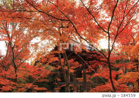 鹿苑寺金閣　鐘楼 184559