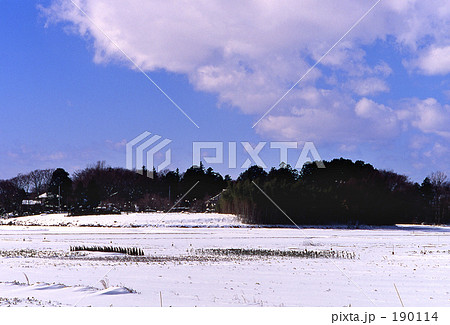 見沼田圃・冬 0389 見沼田圃・冬 0389 190114