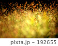 夕暮れ 192655