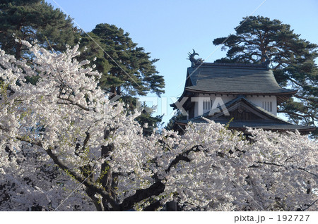 桜と辰巳櫓 192727