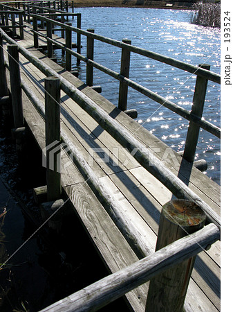 木道橋と池 木道橋と池 193524