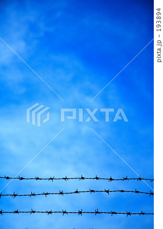 青空と有刺鉄線2 193894