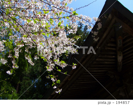 葉桜と軒下より 194857