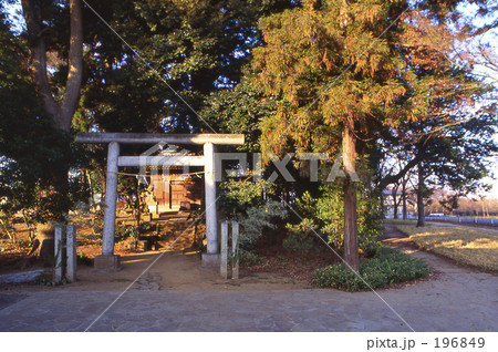 見沼田圃・冬　0459 196849