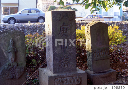 見沼田圃・冬　0460 196850