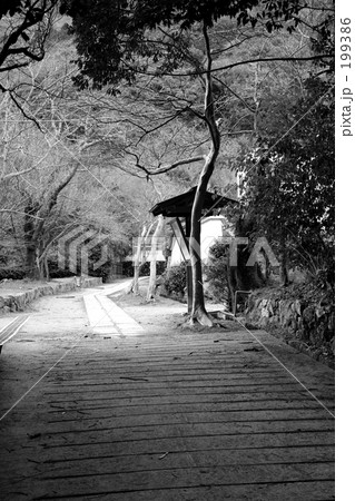 京都洛西の古刹にて 199386