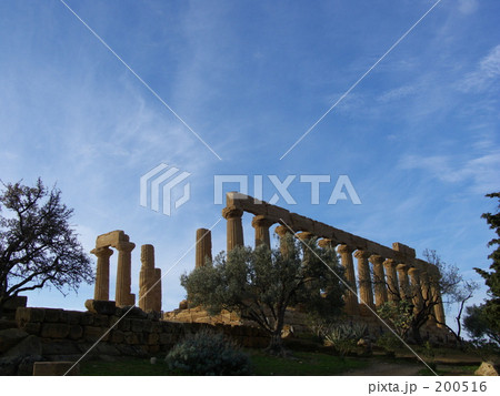 シチリア　ジュノーネ（ヘラ）神殿 200516