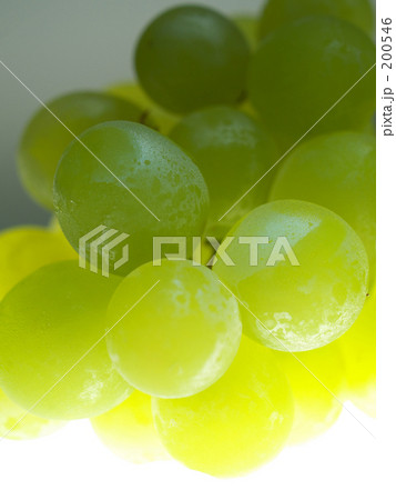 みずみずしいブドウ 200546