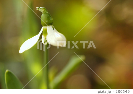 影から光へ。。。 200549