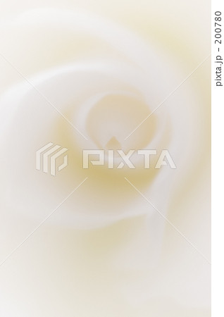 ベゴニア 03 200780