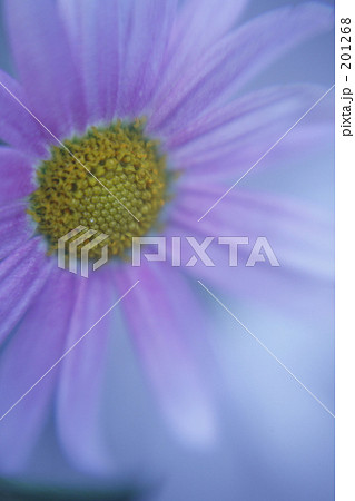 もの思う・・・ 201268