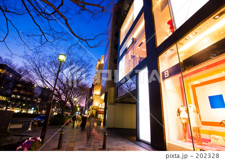 夕暮れの表参道 夕暮れの表参道 202328