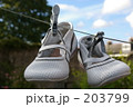 上履き 203799