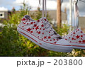スタースニーカー 203800