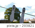 洗濯バサミとクモの巣 203821