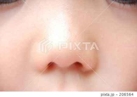 鼻のアップ 206564