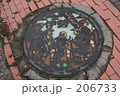 206733