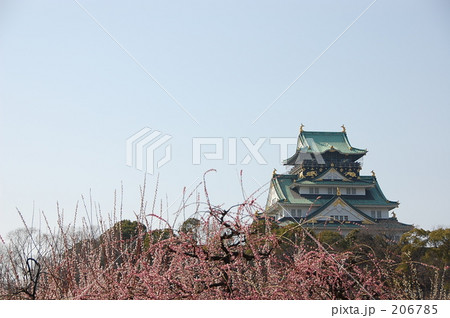 Osaka Castle & ume. 206785